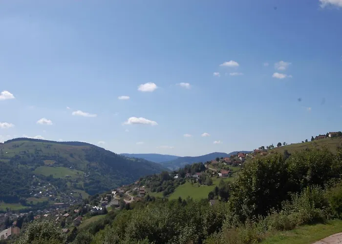 Appartement Le Panorama La Bresse